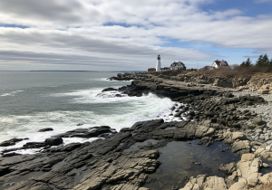 Gunite Pool Opening Service Weymouth, MA